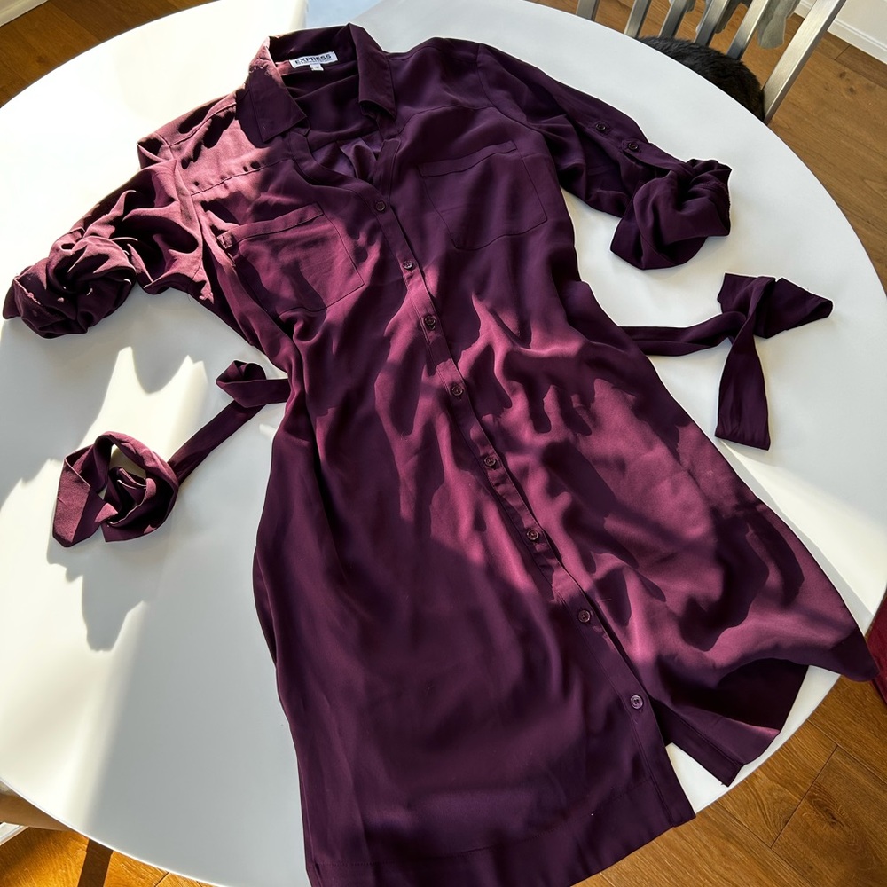 Express Portofino Plum Button-Front Shirt Dress